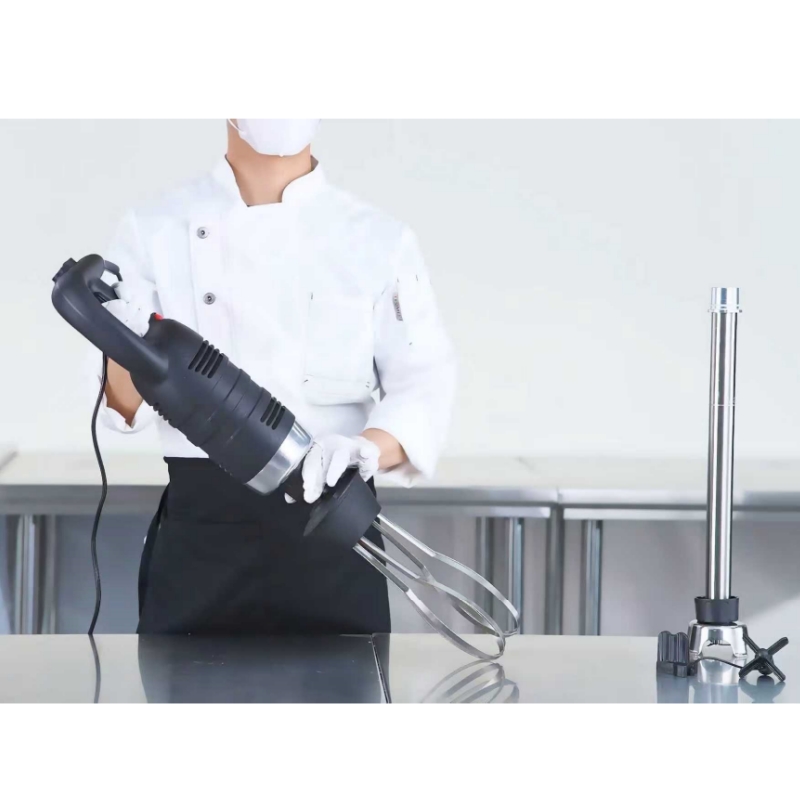 3 Models Manufacturer Price  H - Immersion Blender Stick review and price